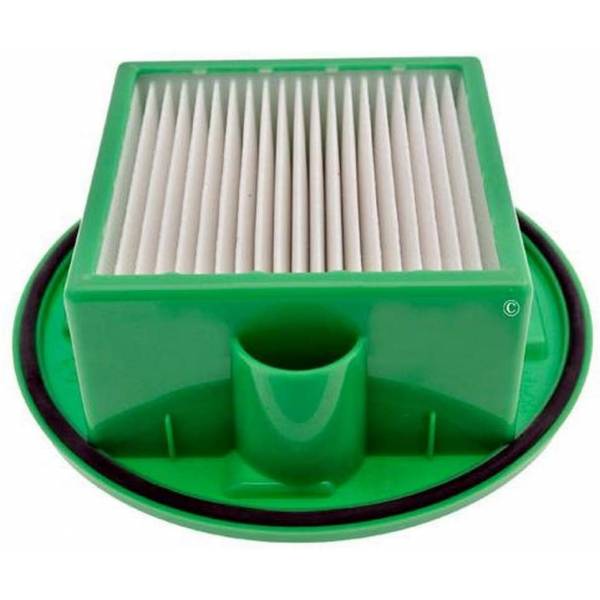 Filtro Hepa ZR000801 aspirador Rowenta, Comprar